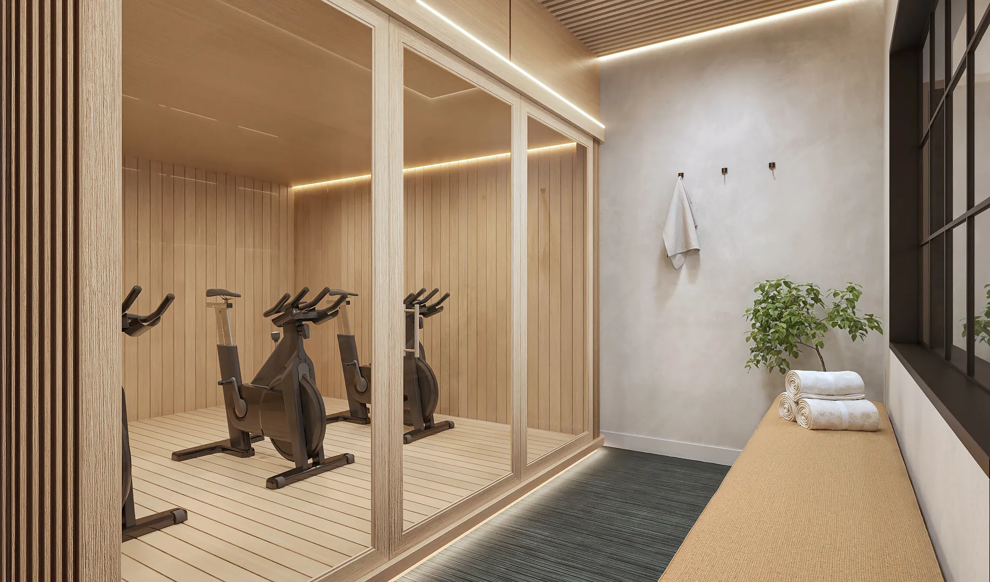 3D rendering of a glass-walled, wood-lined training studio at the Spring Street studio in Aspen, fitted with a row of stationary spin bikes, with a towel bench and a potted plant alongside.